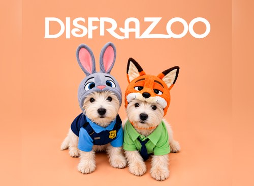 Disfrazoo