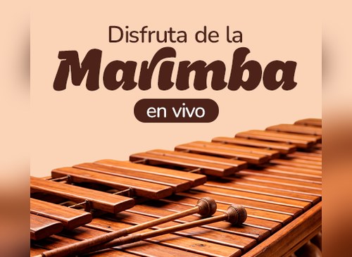 Disfruta de Marimba